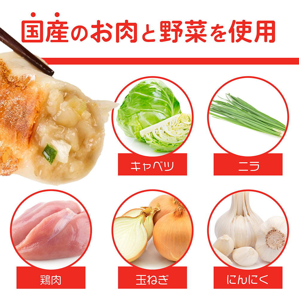 米粉でつくったギョーザ