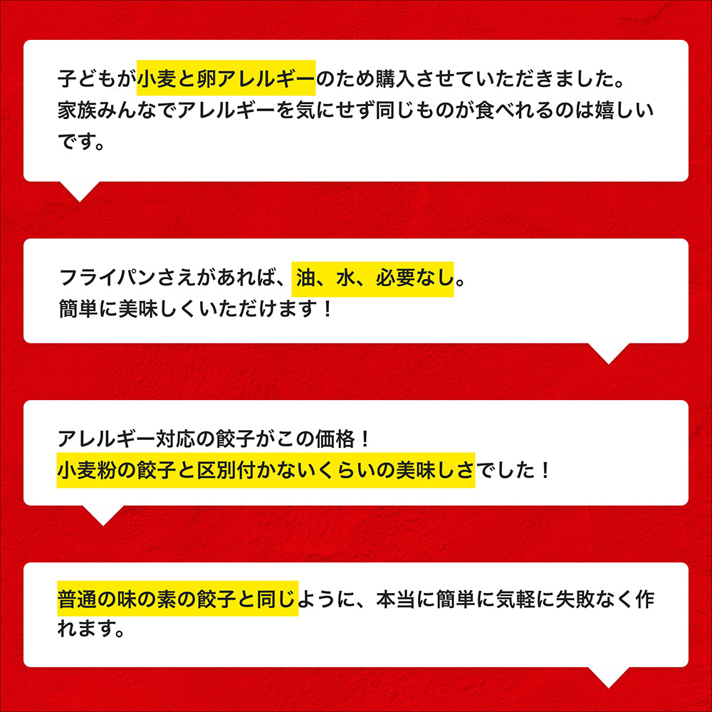 米粉でつくったギョーザ